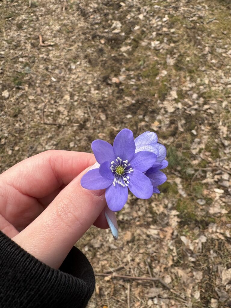 Osalesime sinilille kampaanias